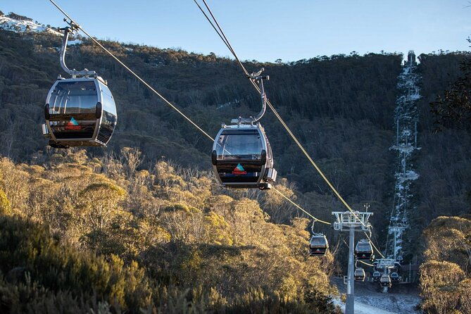 Thredbo or Perisher Bus Trip from Canberra - The Itinerary: What to Expect