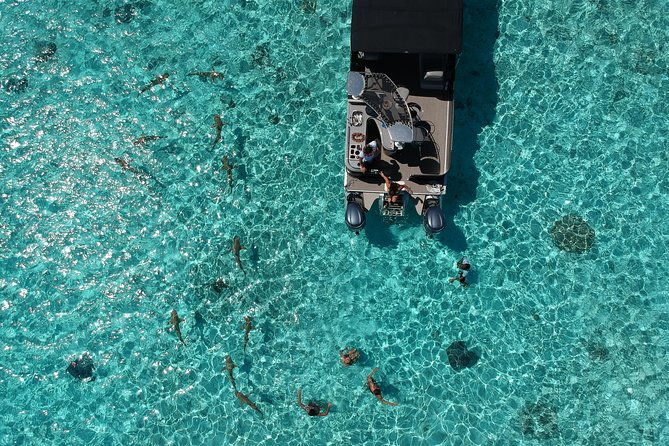 Toa Boat Bora Bora Private Lagoon Tour On Entertainer Bar Boat - Who Should Consider This Tour?
