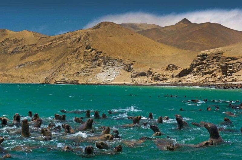 tour-9d-lima-machu-picchu-lake-titicaca-nazca-ica