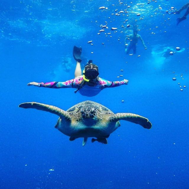 tour-gili-islands-private-snorkeling-trip-4-hours