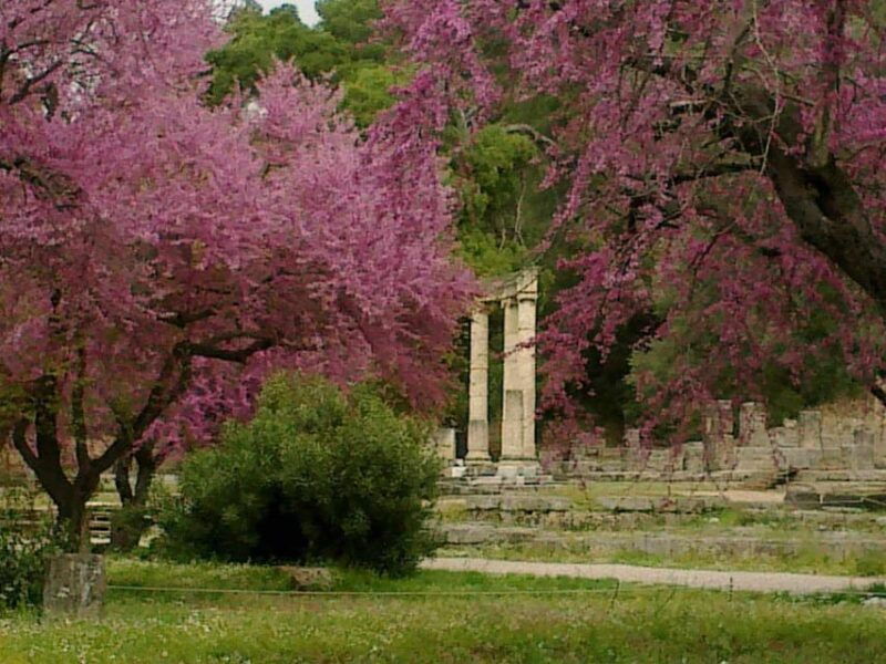 tour-to-the-archaeological-site-of-olympia-by-an-archaeologist-of-italian-descent