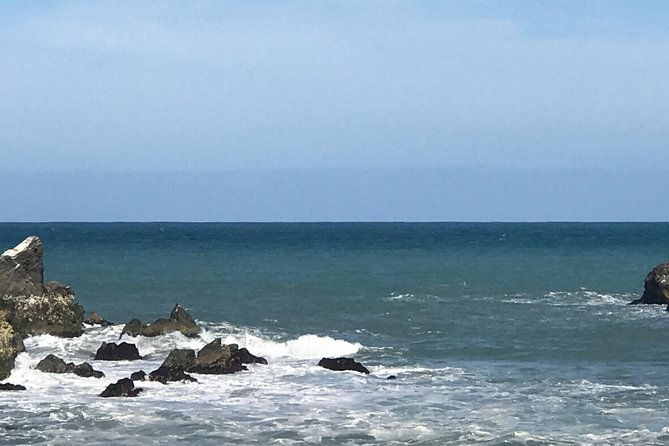 Transfers from Blenheim or Picton to Kaikoura - Transportation & Group Size