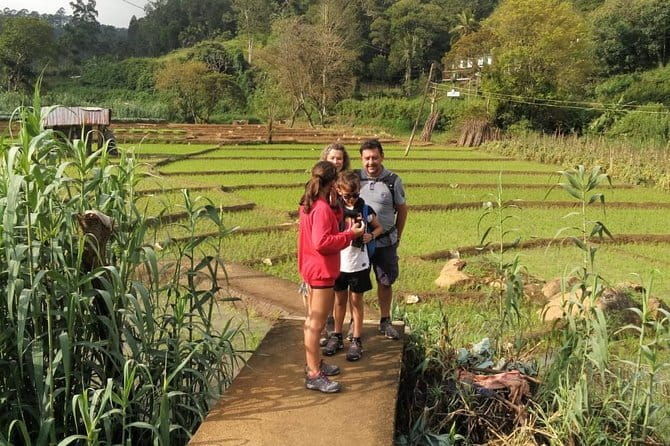 Trek to Little Adam's Peak and Nine Arches Bridge In Ella - The Value of This Experience