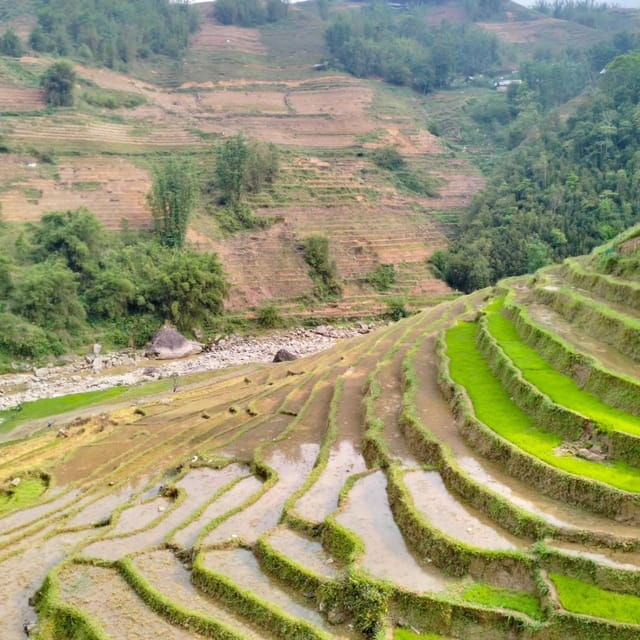 trek-to-local-ethnic-villages-muong-hoa-valley-guide-lunch