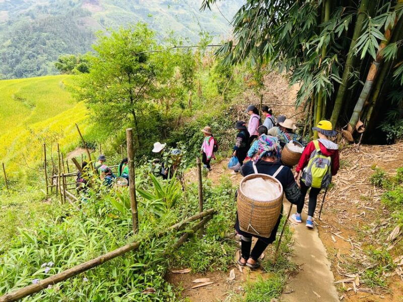 trekking-sapa-1-day-the-best-terraced-rice-field