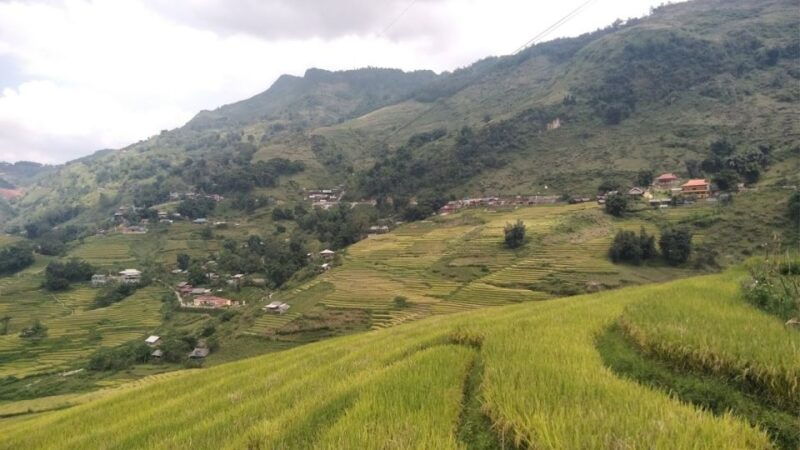 trekking-through-rice-terraced-fields