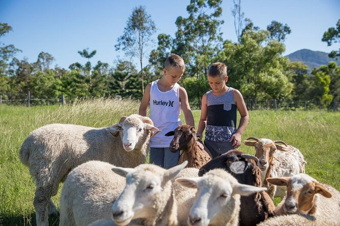 Trevena Glen 2hr Animal Tour - Why You Should Consider This Tour