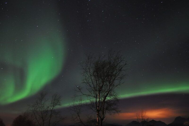 tromso-northern-lights-husky-visit-with-traditional-dinner