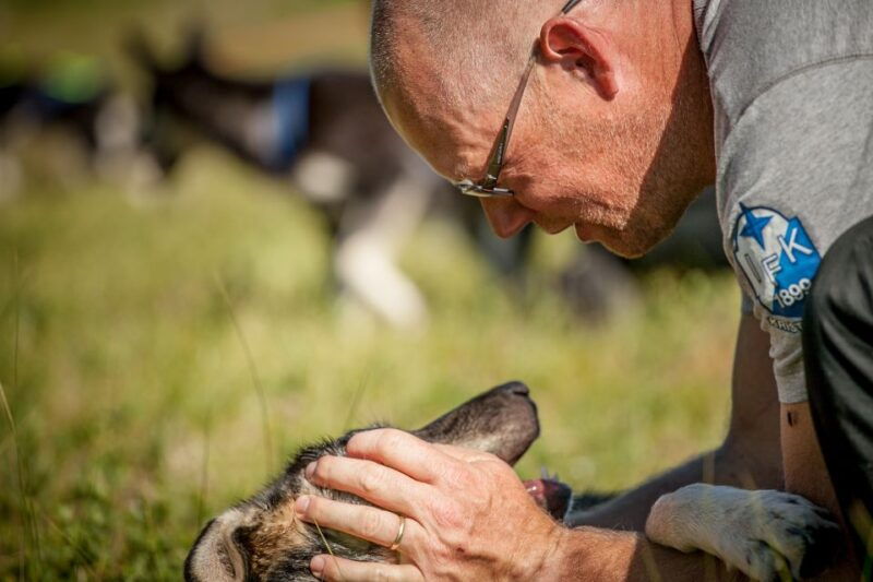 tromso-puppy-training-at-the-husky-kennel-with-lunch