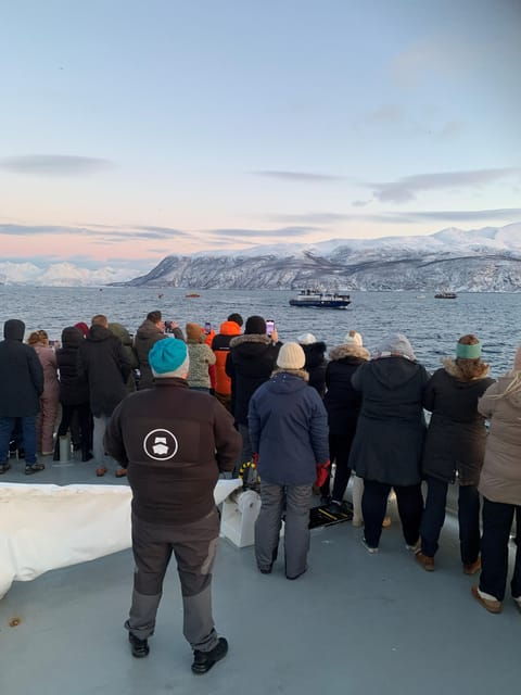 tromso-whale-safari-with-ms-keiser-wilhelm