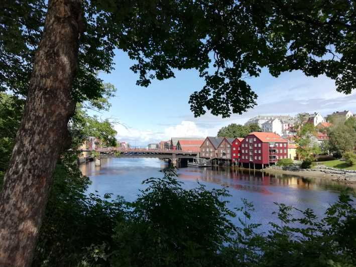 trondheim-explore-the-city-of-kings-with-a-local-guide