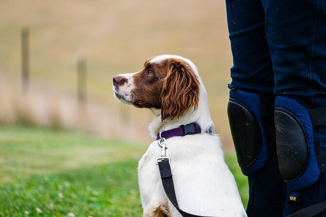 Truffle Hunt and Taste Experience in Oberon, NSW Australia - Final Thoughts