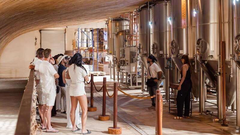 tulum-brewery-tour-and-brews-bites
