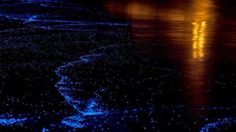 twilight-sea-canoe-to-james-bond-island-w-glowing-plankton