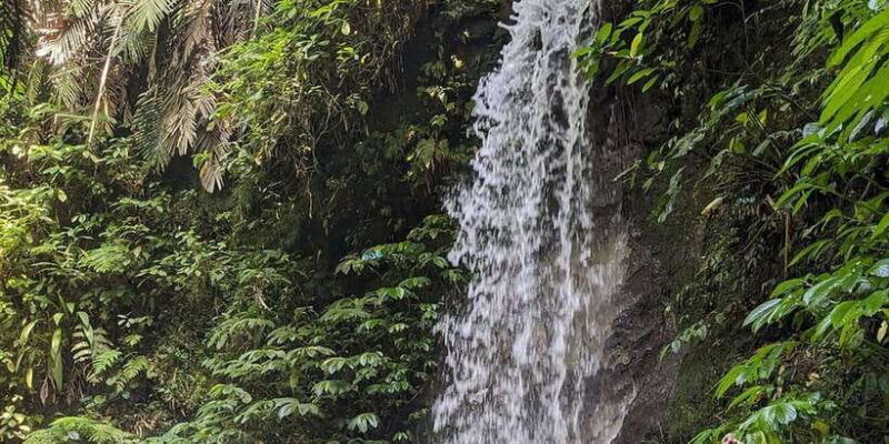 ubud-atv-quad-bike-and-rafting-adventure