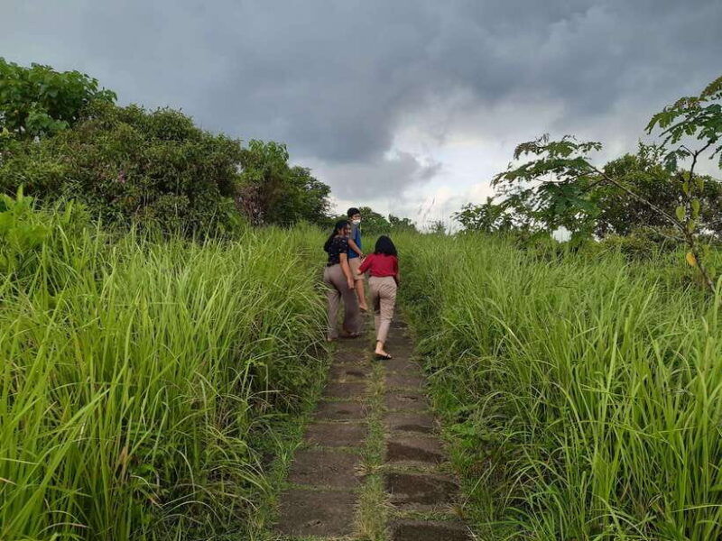 ubud-campuhan-ridge-walk-tegallalang-rice-terrace-more