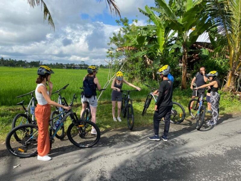ubud-downhill-cycling-with-volcano-rice-terraces-and-meal
