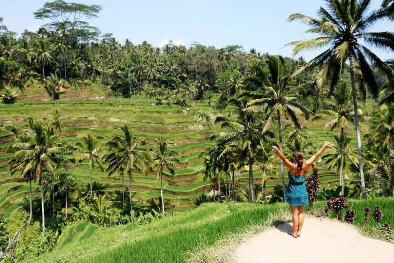 ubud-monkey-forest-and-rice-terrace-private-tour