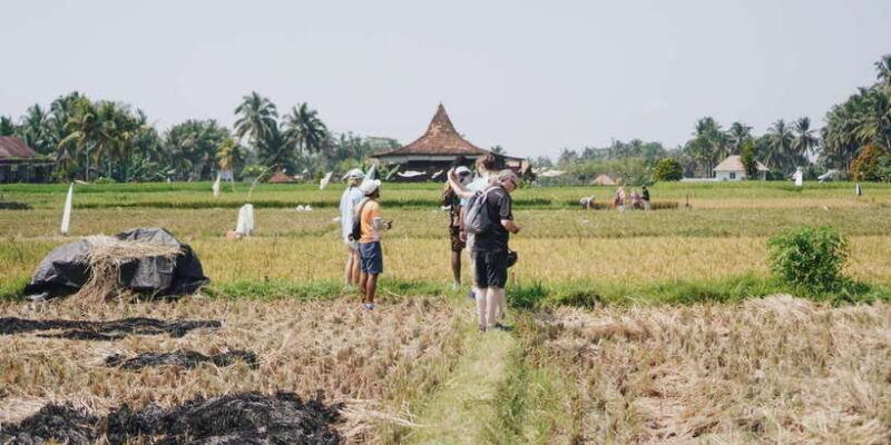 ubud-rice-terraces-villages-half-day-fat-tire-e-bike-tour