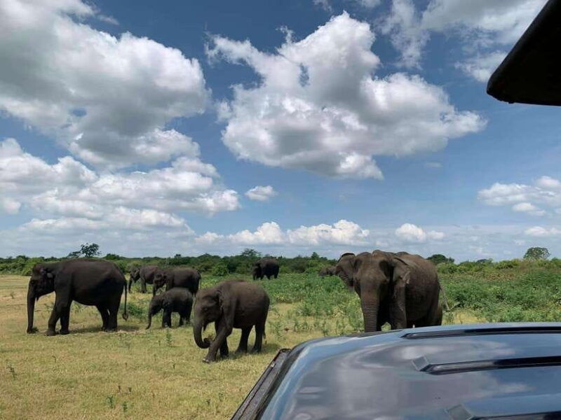 udawalawa-national-park-safari-elephant-transit-home-tour