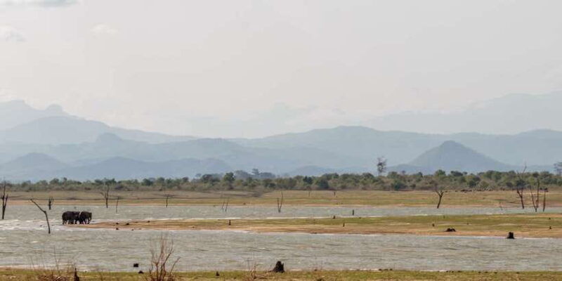 udawalawe-national-park-private-full-day-safari