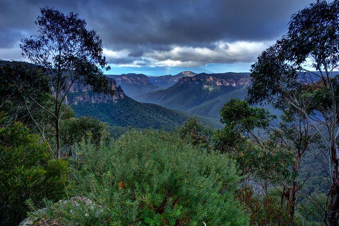 Ultimate Blue Mountains and Wildlife Tour - Additional Details and Practical Tips