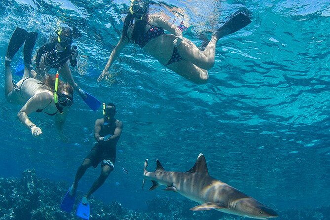 Ultimate Encounters Package - 2 Days | 1 Night - What Makes This Tour Stand Out?