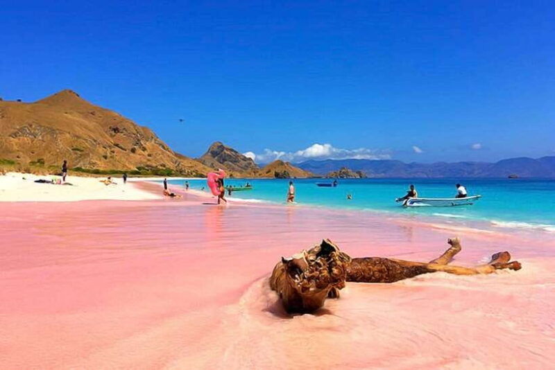 ultimate-labuan-bajo-experience-6-amazing-destinations