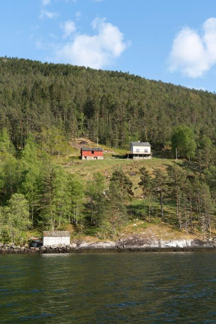 ulvik-adventure-exploring-hardangerfjords-osafjord-by-rib