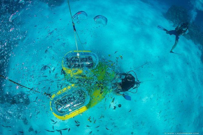 Underwater Scooter - The Guides and Service: What Sets It Apart?