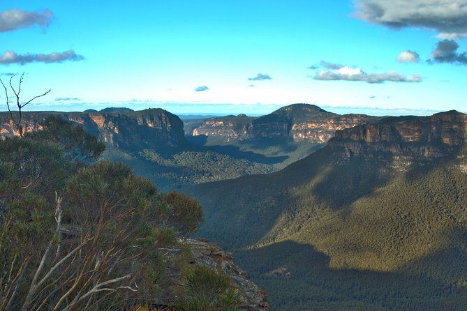 Unforgettable Blue Mountains Day Tour - Final Thoughts: Who Is This Tour Best For?