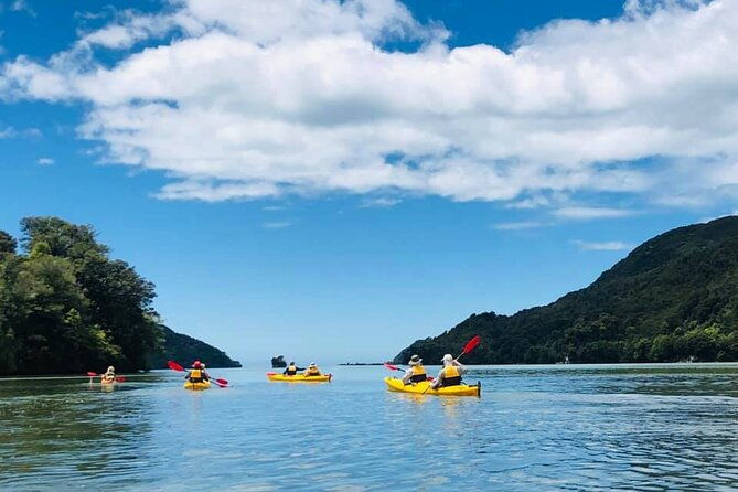 Unguided 3-Day Freedom Kayak Rental New Zealand - The Gear and Logistics