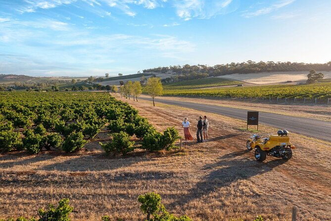 Unique Trike Barossa Valley Half Day Private Tour For 2 - An In-Depth Look at the Trike Experience