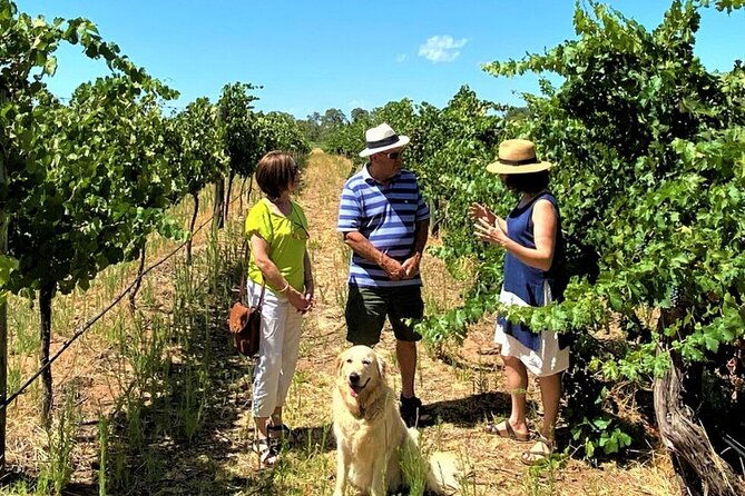 Upper Reach Winery: Swan Valley Winery and Vineyard Tour - Detailed Itinerary Breakdown