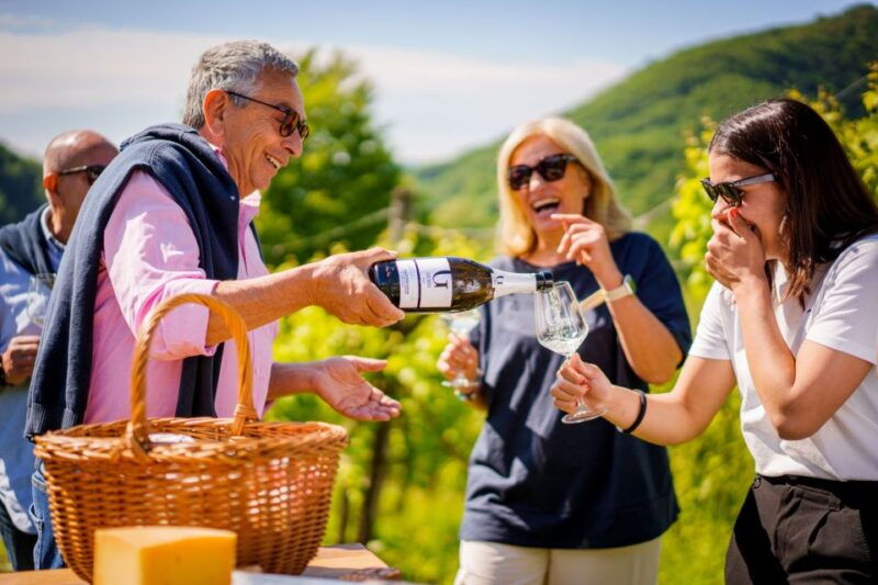 valdobbiadeneprosecco-superiore-hills-tour-with-winetasting