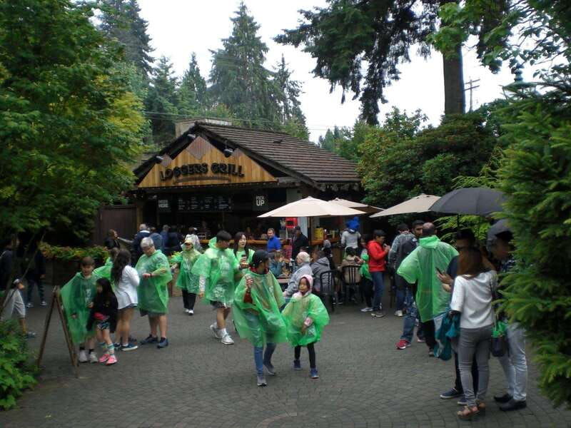 vancouver-city-and-mountain-adventure-with-grouse-mountain