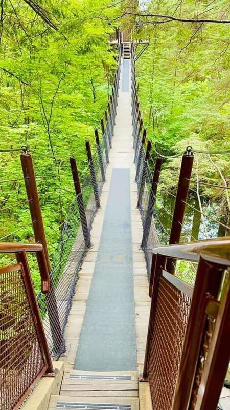 vancouver-city-highlights-private-tour