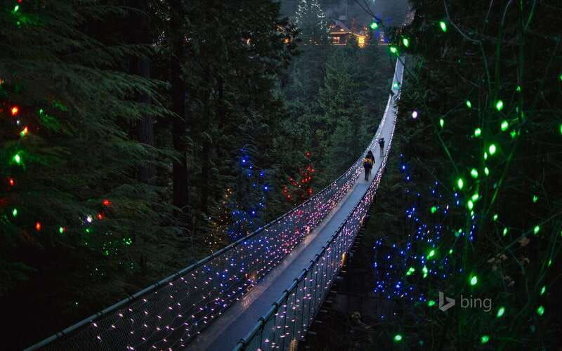 vancouver-city-tour-with-capilano-suspension-bridge