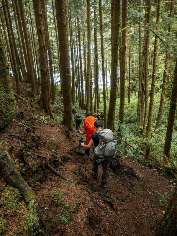 vancouver-guided-hiking-highlights-at-grouse-lynn-canyon