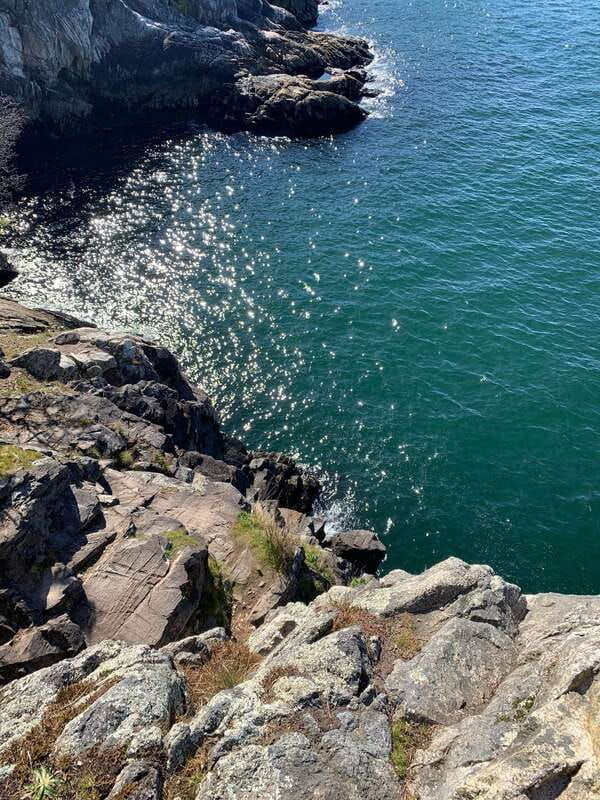 vancouver-lighthouse-park-hike