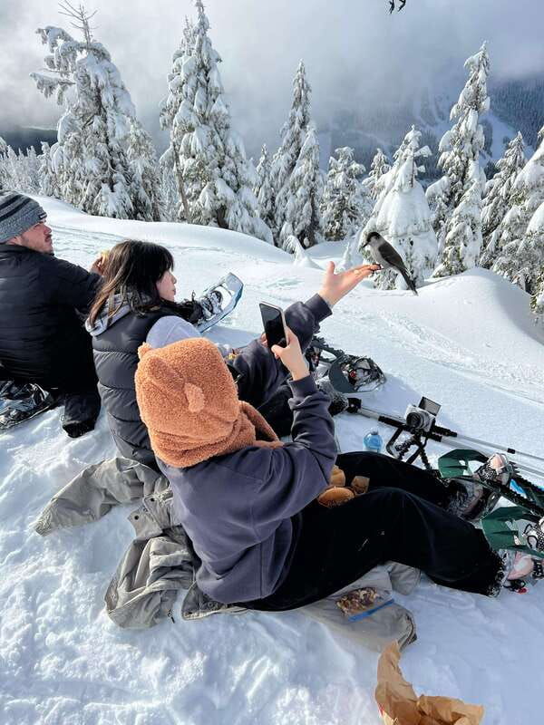 vancouver-north-shore-mountains-snowshoeing-with-transfer