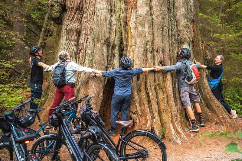 vancouver-stanley-park-bicycle-tour