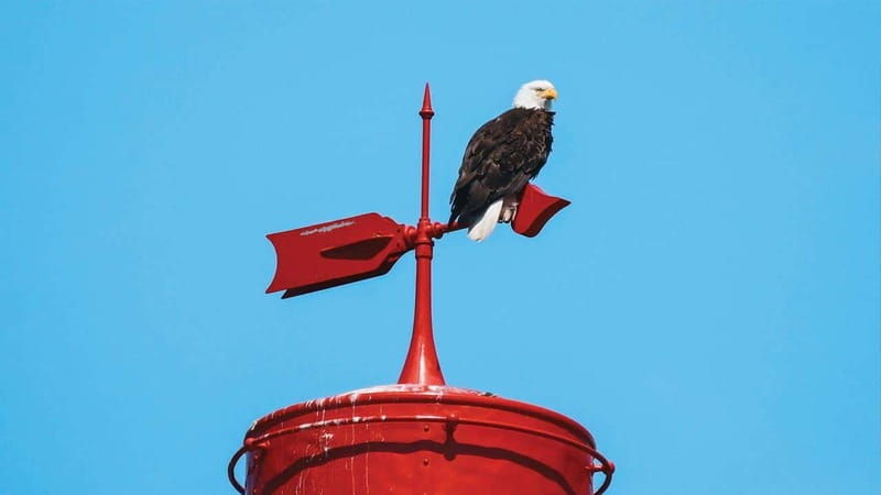 vancouver-waterfront-sightseeing-tour-city-and-nature