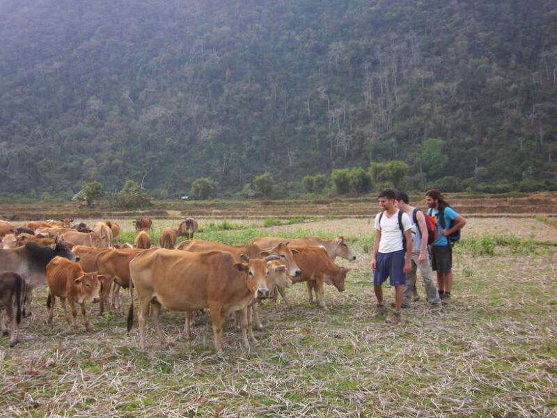 vang-vieng-jungle-caves-full-day-private-trekking-tour