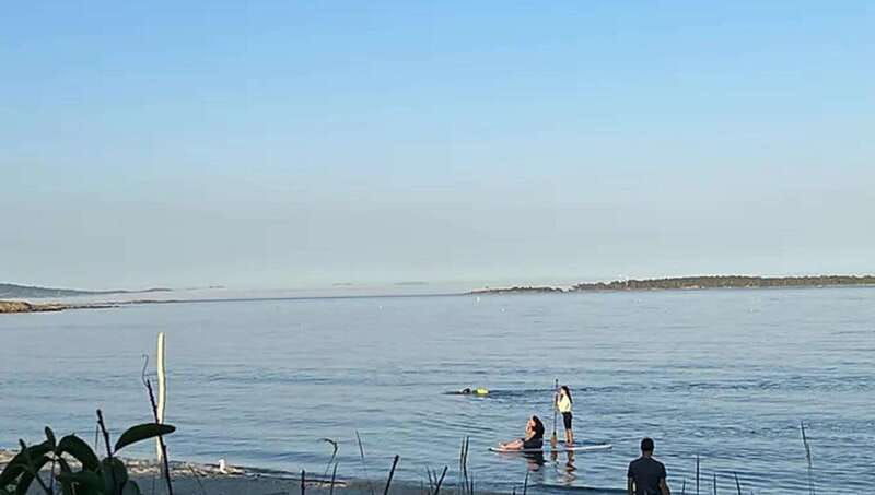 victoria-upper-gorge-waterway-paddle-boarding-tour