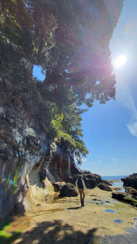 victoria-west-coast-big-tree-coastal-adventure