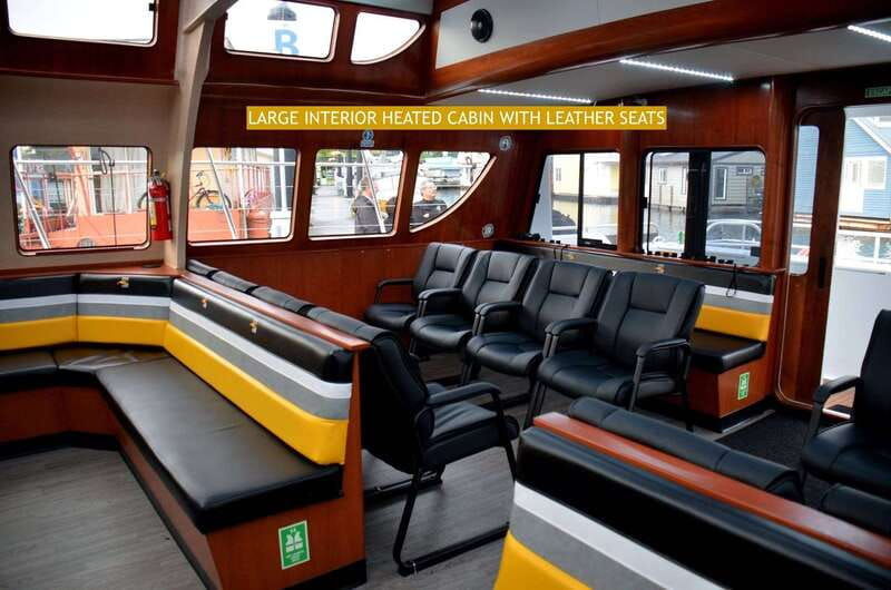 victoria-whale-and-wildlife-semi-covered-boating-tour