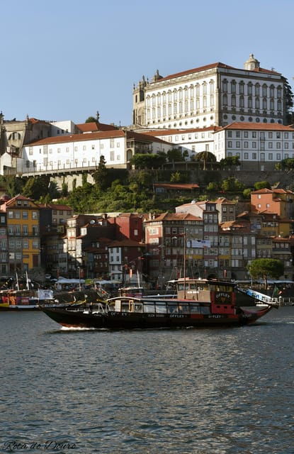 vila-nova-de-gaia-bridge-cruise