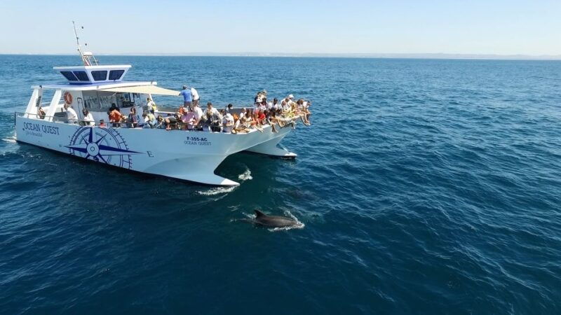 vilamoura-boat-tour-dolphin-quest