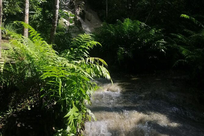 Visit Dantewada(Angel Land), Blue Temple, and Sticky Waterfall - Who is This Tour Perfect For?